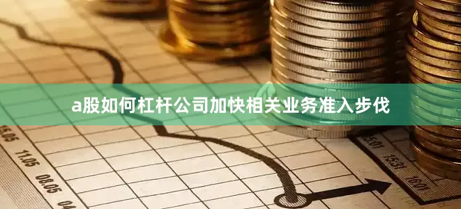 a股如何杠杆公司加快相关业务准入步伐