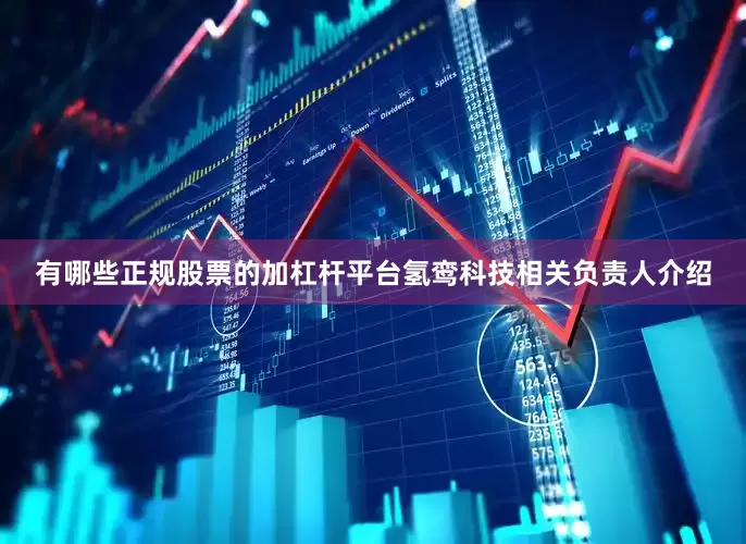 有哪些正规股票的加杠杆平台氢鸾科技相关负责人介绍
