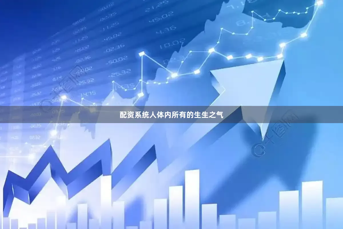 配资系统人体内所有的生生之气